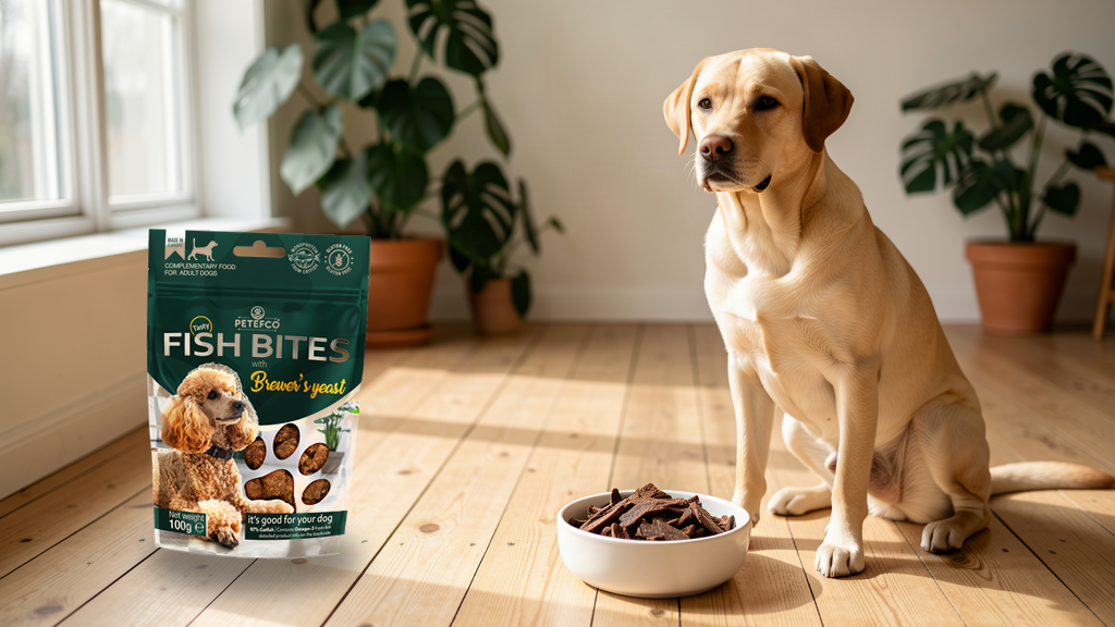 Labrador neben ECO WOOF Fish Bites Tüte und Schale mit Fisch-Chips