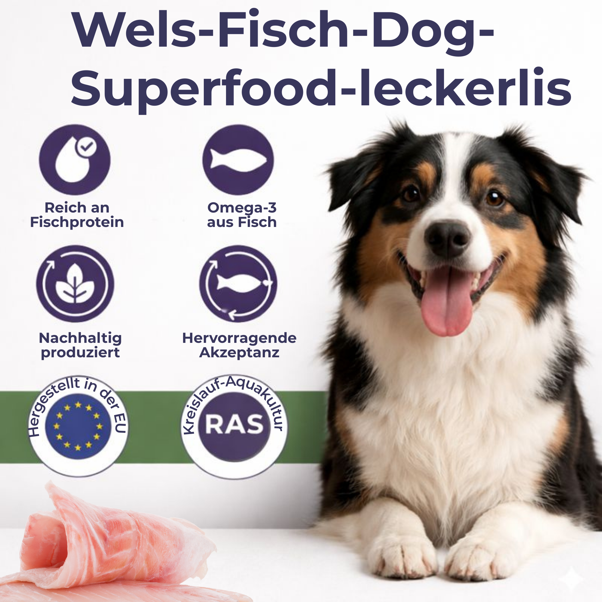 Crispy Bars aus Wels | 6x125g | Belohnung für Hunde