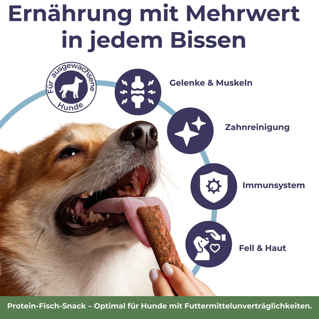 Crispy Bars aus Wels | 3x125g | Belohnung für Hunde