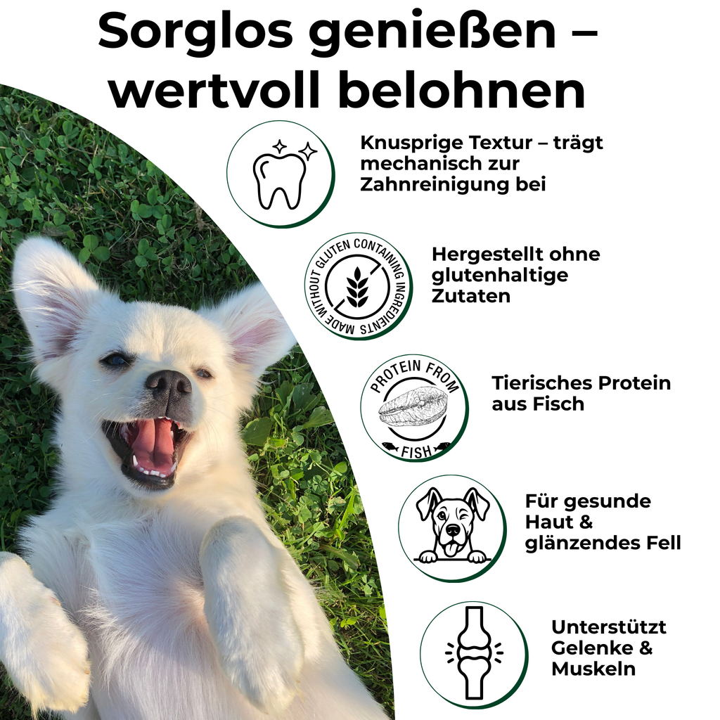 PETEFCO | ACTIVE BITES | 80% Fisch | 3x100g | Belohnung für Hunde