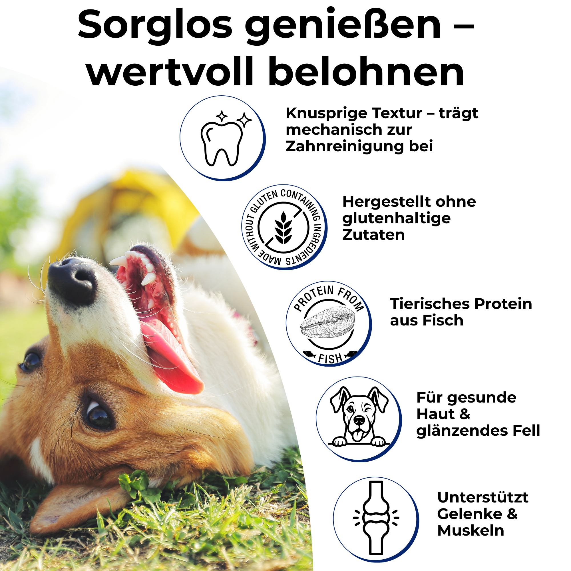 PETEFCO | VITAL BITES | 80% Fisch | 3x100g | Belohnung für Hunde