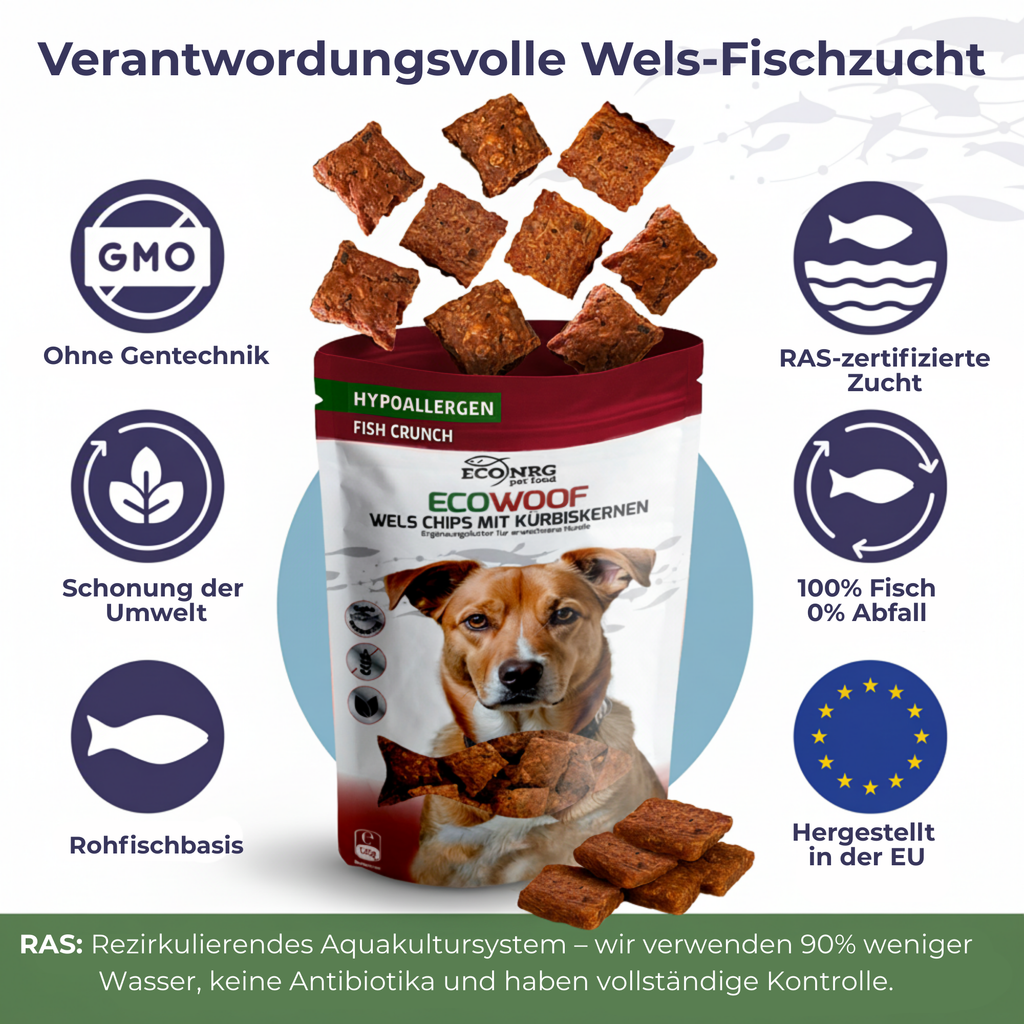 Chips aus Wels mit Kürbiskernen | 6x125g | Belohnung für Hunde