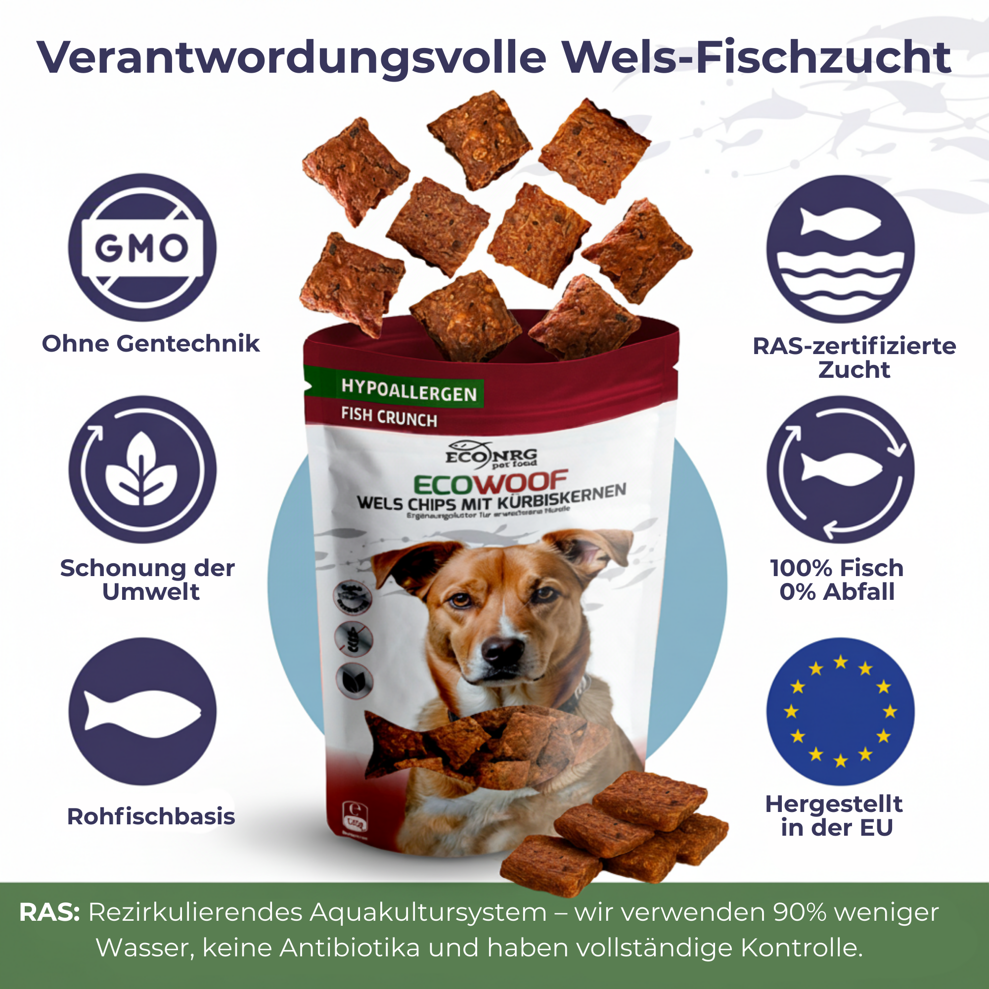 Chips aus Wels mit Kürbiskernen | 6x125g | Belohnung für Hunde