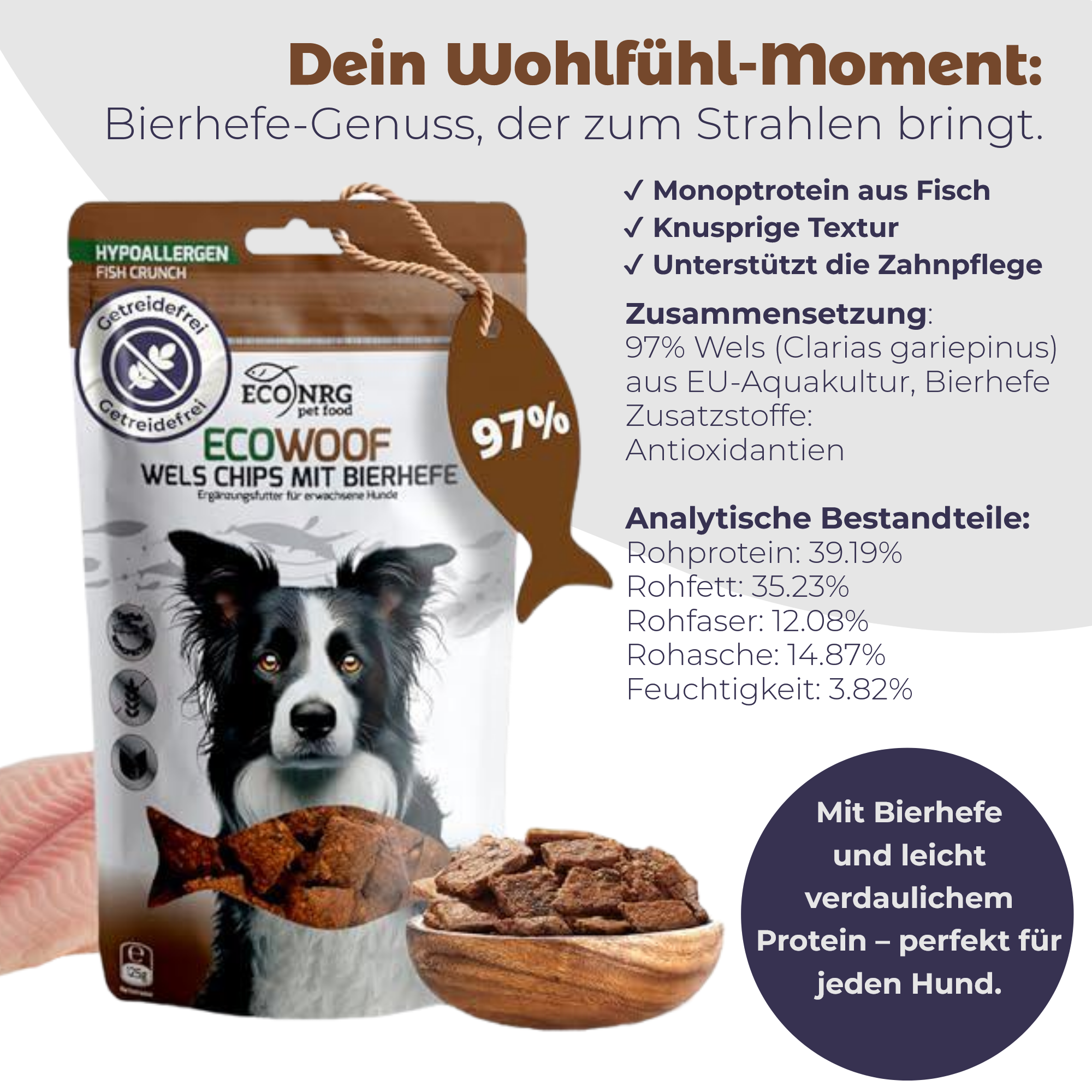 Chips aus Wels – MIX | Pur, Kürbis & Bierhefe | 3x125g | Belohnung für Hunde