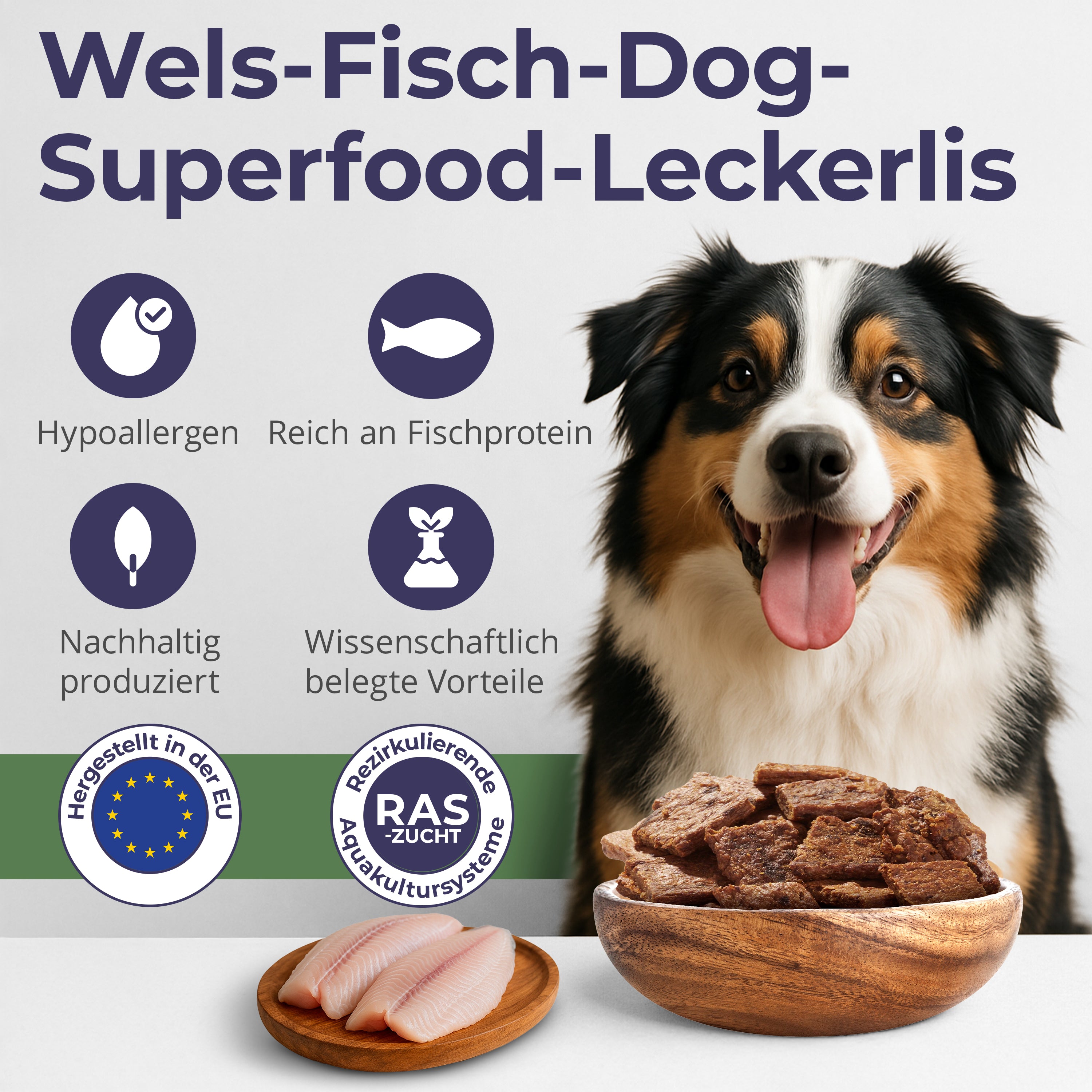Chips aus Wels – MIX | Pur, Kürbis & Bierhefe | 3x125g | Belohnung für Hunde