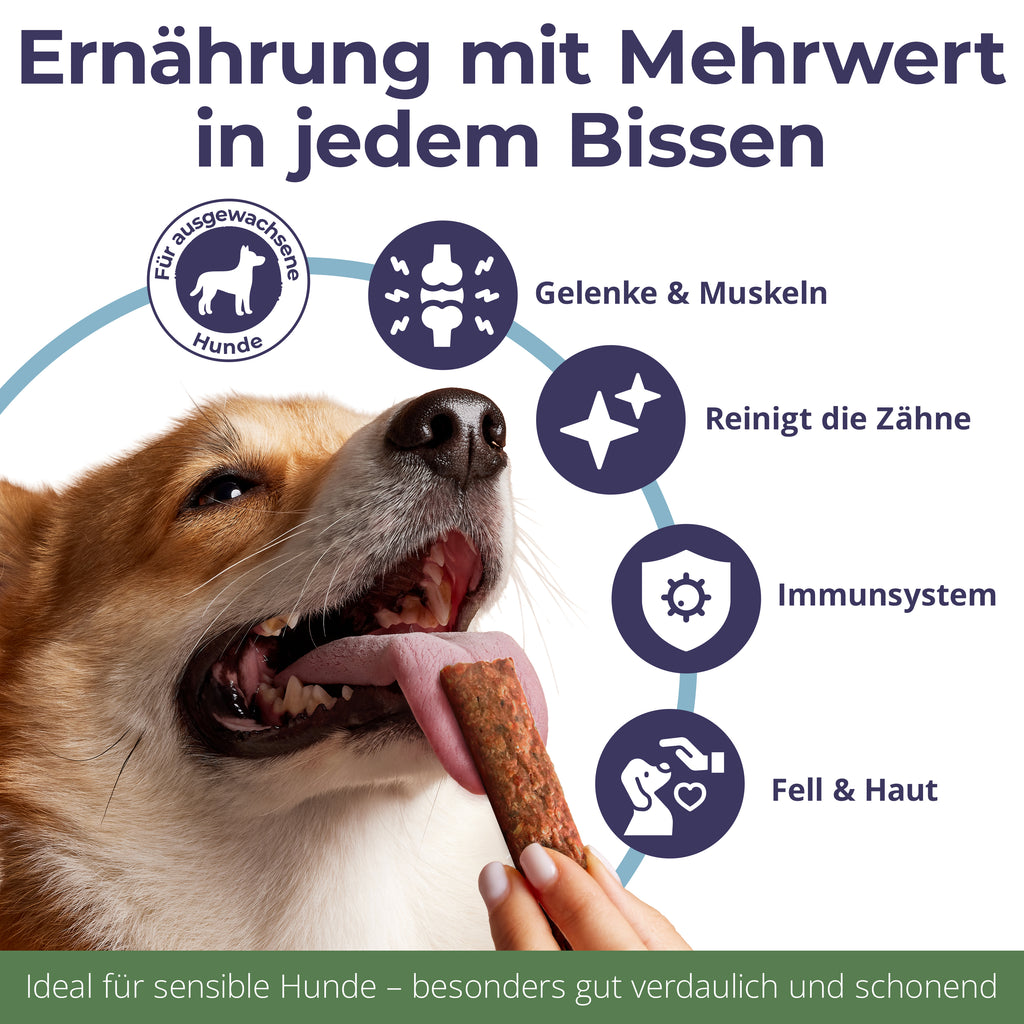 Crispy Bars aus Wels – TRIO | Pur, Kürbis & Bierhefe | 6x125g | Belohnung für Hunde