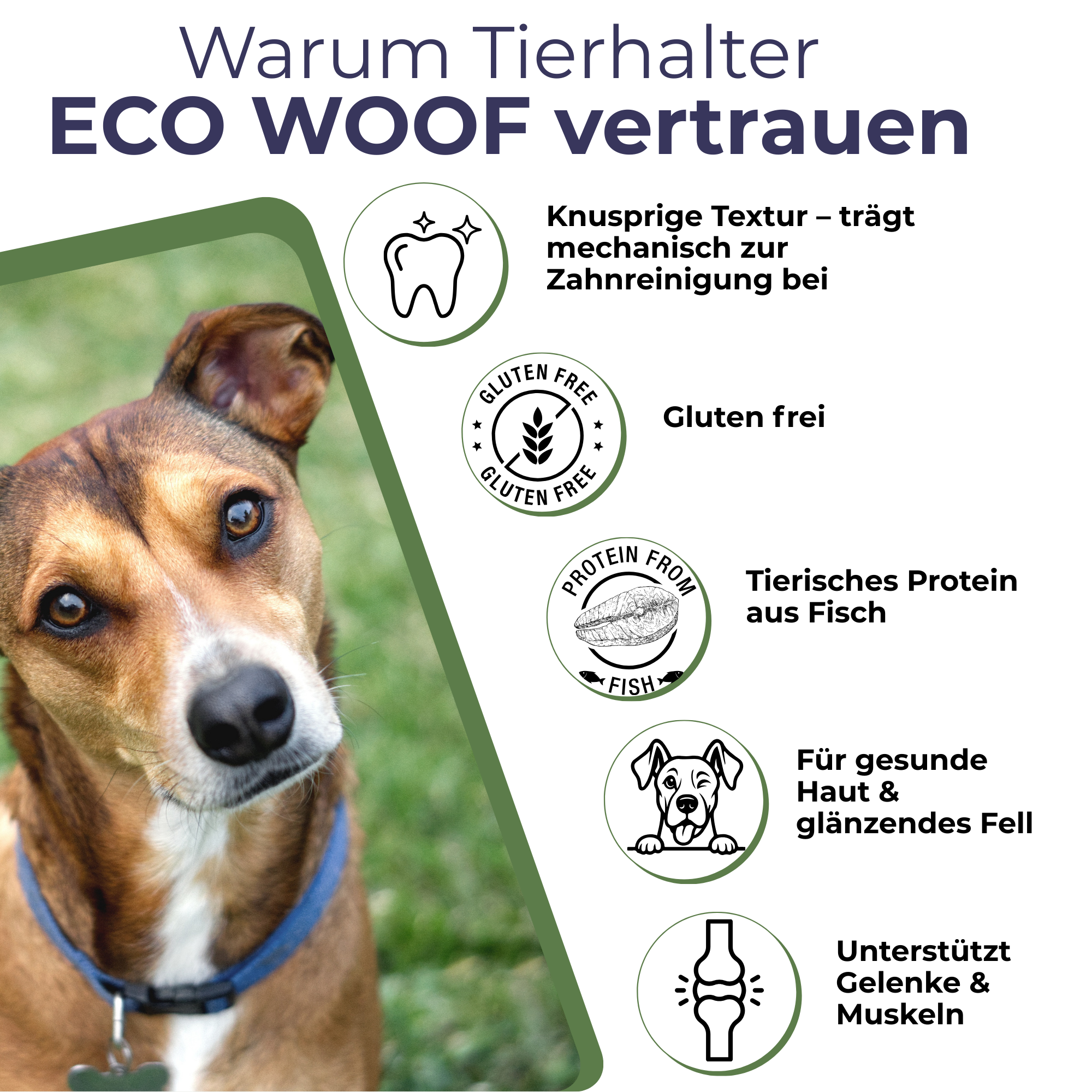 FISH CRUNCH | Lachsstreifen | 3x100g | Belohnung für Hunde
