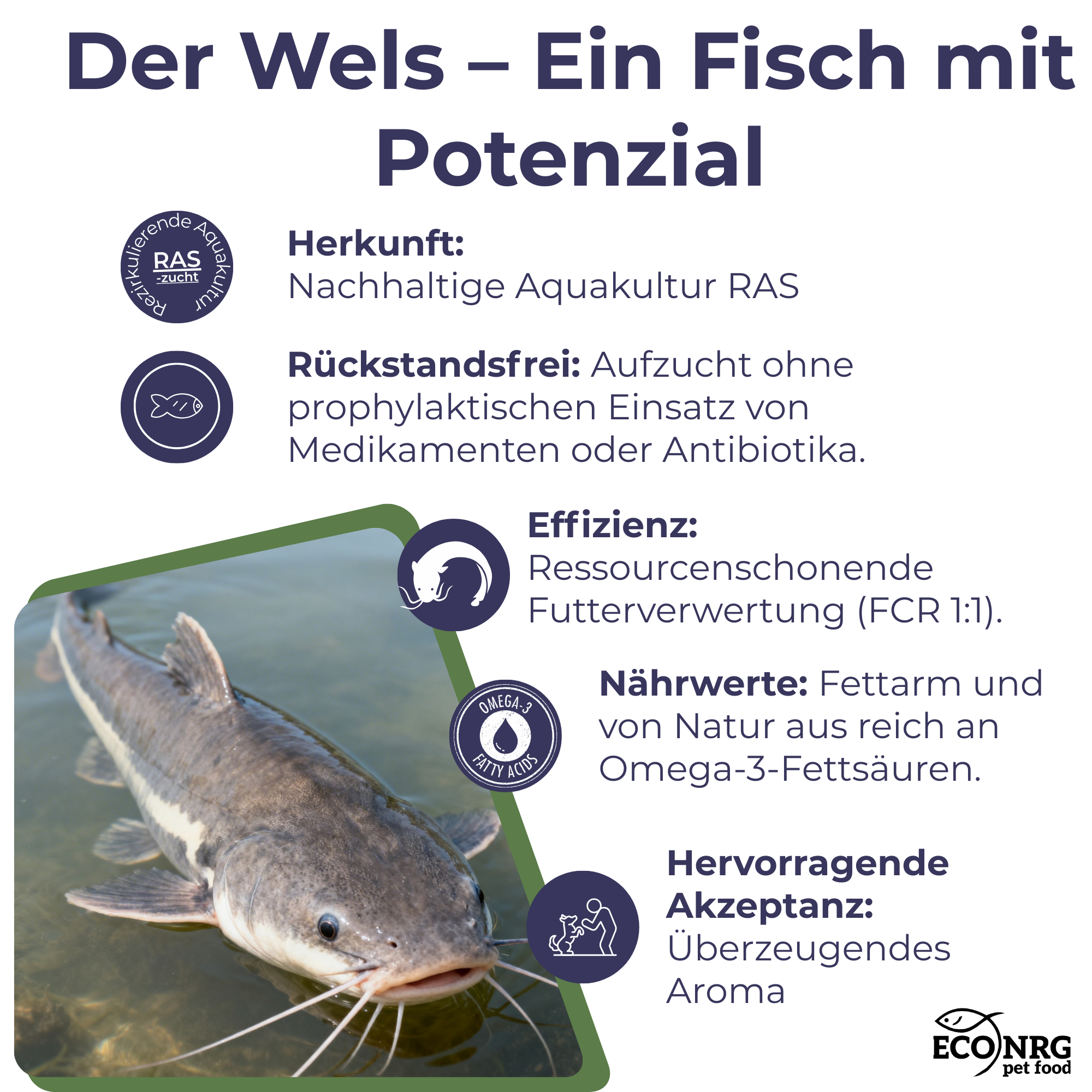 FISH CRUNCH | Lachsstreifen | 3x100g | Belohnung für Hunde